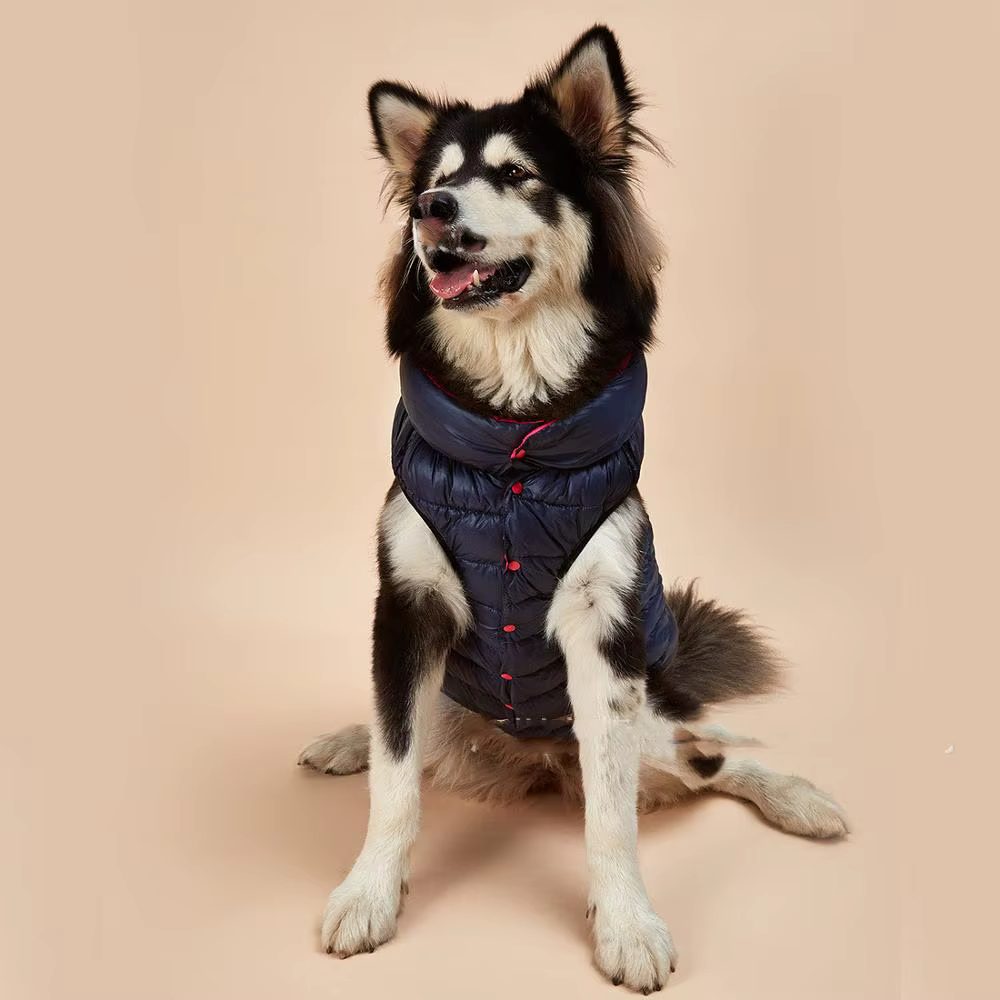 Ropa Nueva para Perros, Otoño e Invierno — imagen 2