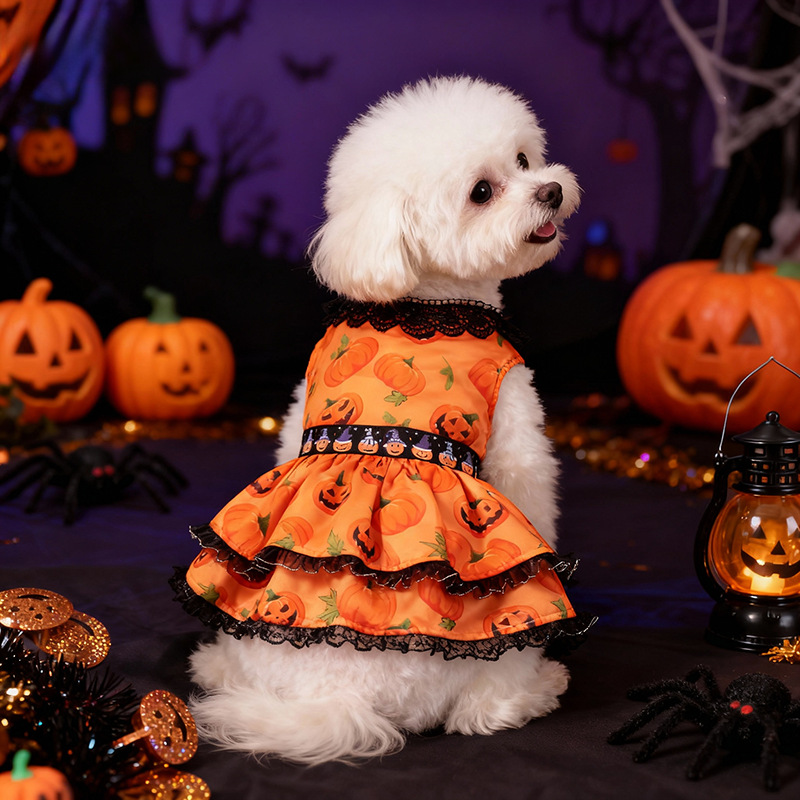 New Halloween Pet Dog Clothes for Medium and Small Dogs, Pumpkin Lace Dress — image 5