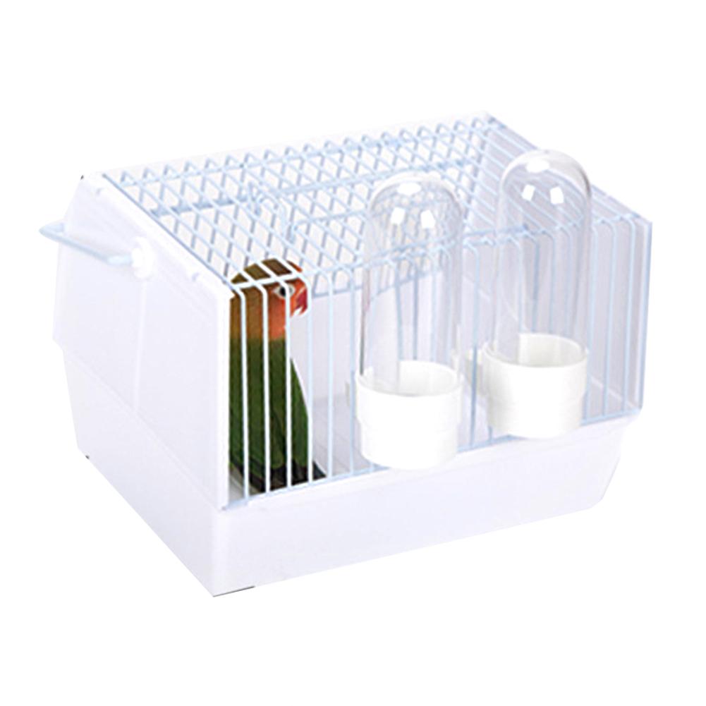 Out of the bird cage — image 2