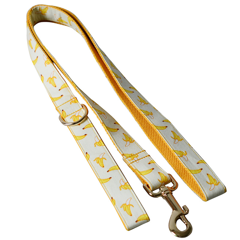 Collar de Trazo Amarillo para Perros con Cuerda de 1.5m y Broche de Oro Personalizable — imagen 8