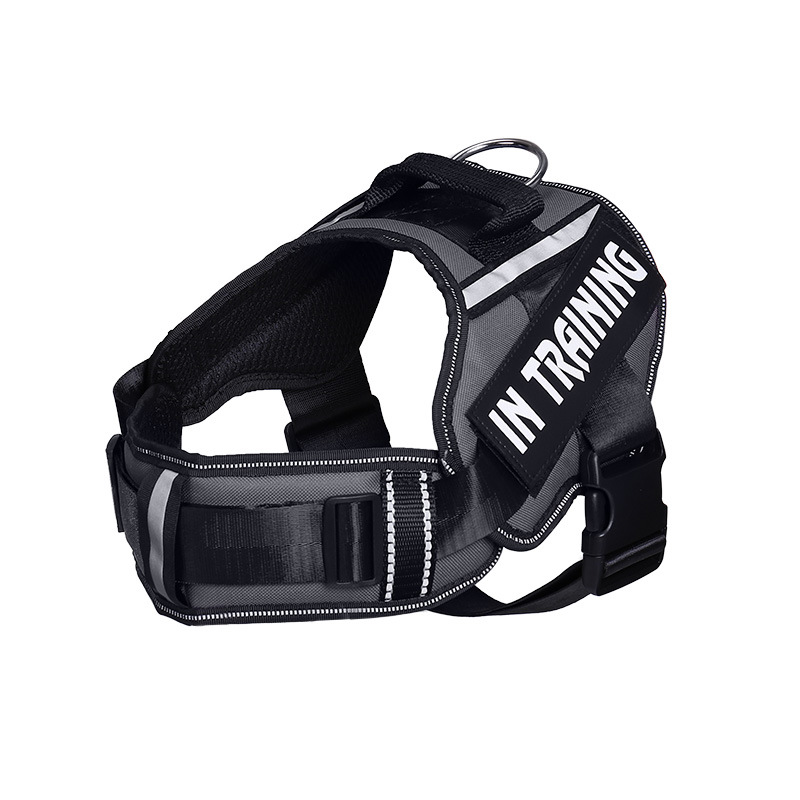 Neck Support Dog Harness with Reflective Pet Chest Harness and Leash, Direct Factory Supply Dog Lead and Pet Leash — image 5