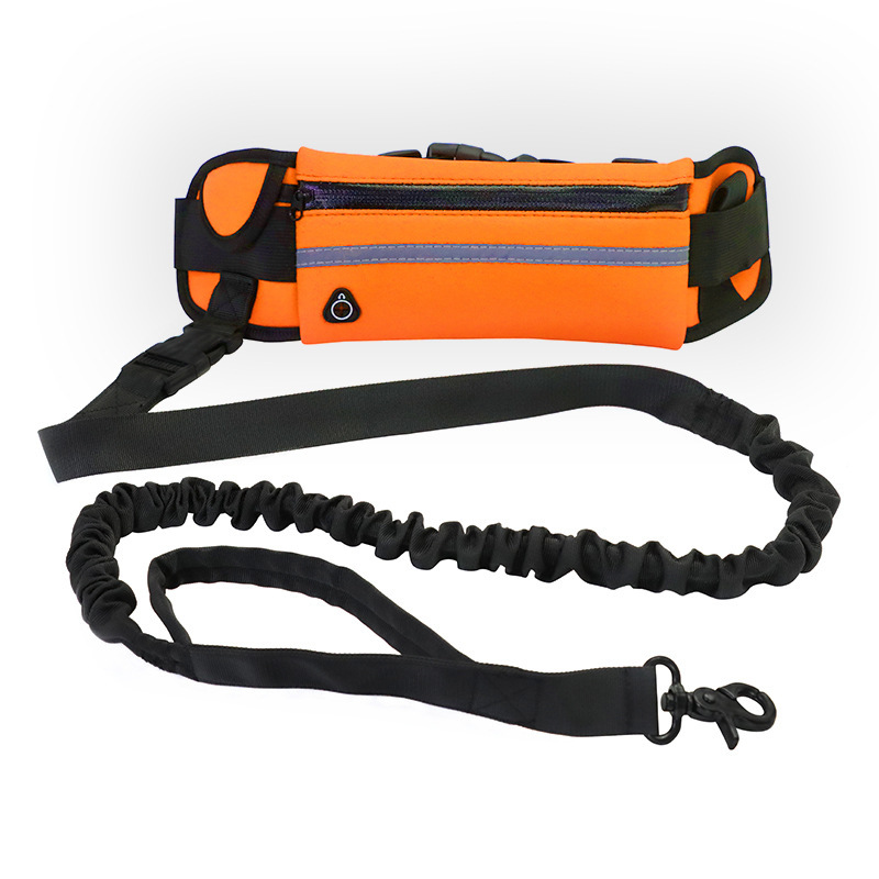 Cinturón Inalámbrico para Perros - Cinturón de Adiestramiento con Correa Elástica Absorbente para Perros Grandes hasta 82 kg, Bolsillo de Teléfono y Botella de Agua — imagen 4