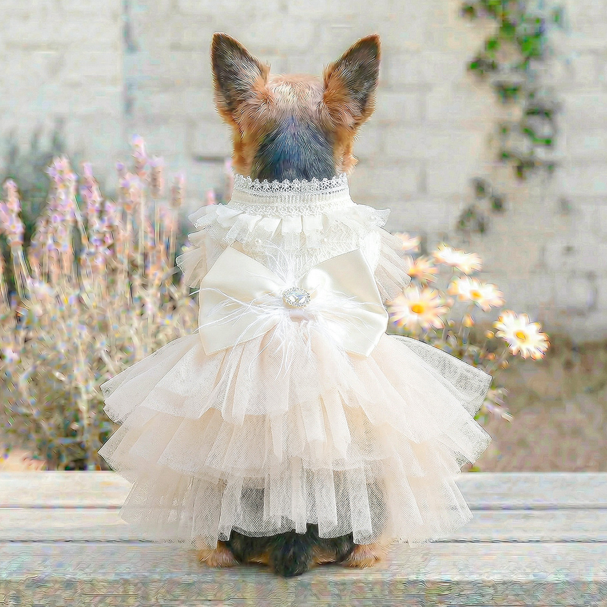 Pet Dog Cat Clothes Cute Small Dog Autumn Winter New Muse Wedding Dress Gown — image 4