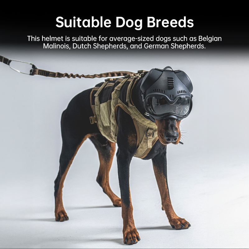 K9 Tactical Dog Helmet - Hunting/Military Training, Motorcycle Protection + Goggles — image 1