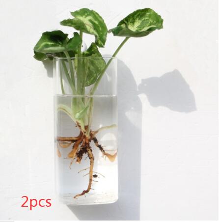 Vaso de Vidrio para Terrario Decorativo en Línea - Jardín Acuático para Hogar — imagen 68