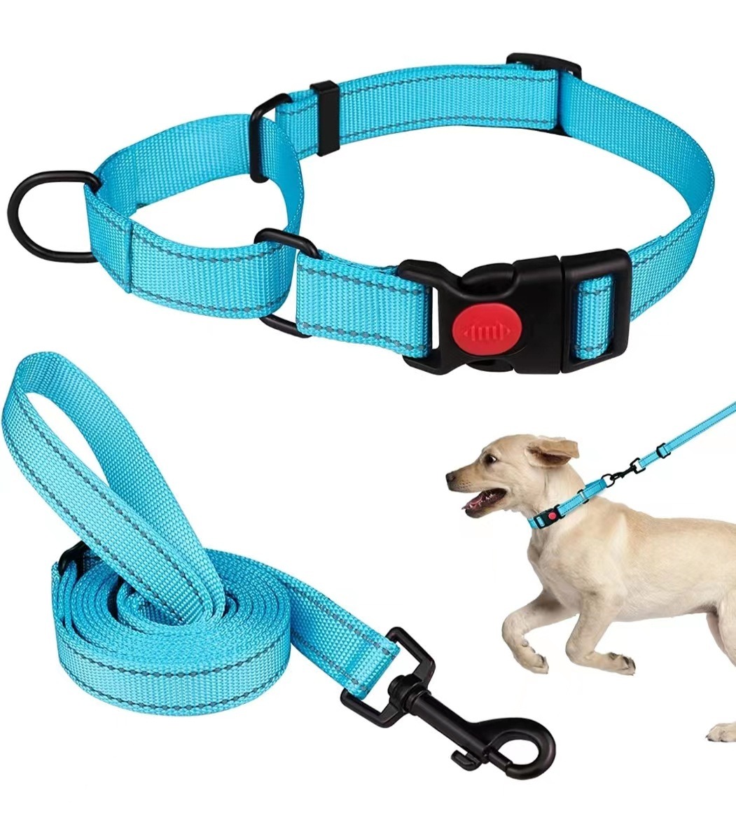Collar de Perro - Conjunto de Collar y Correa Reflectante con Cuerda de Tensión — imagen 8