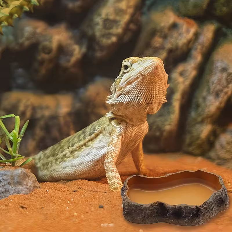 Suitable For Indoor Reptile Landscaping 1-piece Rock-shaped Reptile Water And Food Tray, Leak-proof And Easy To Clean — image 4