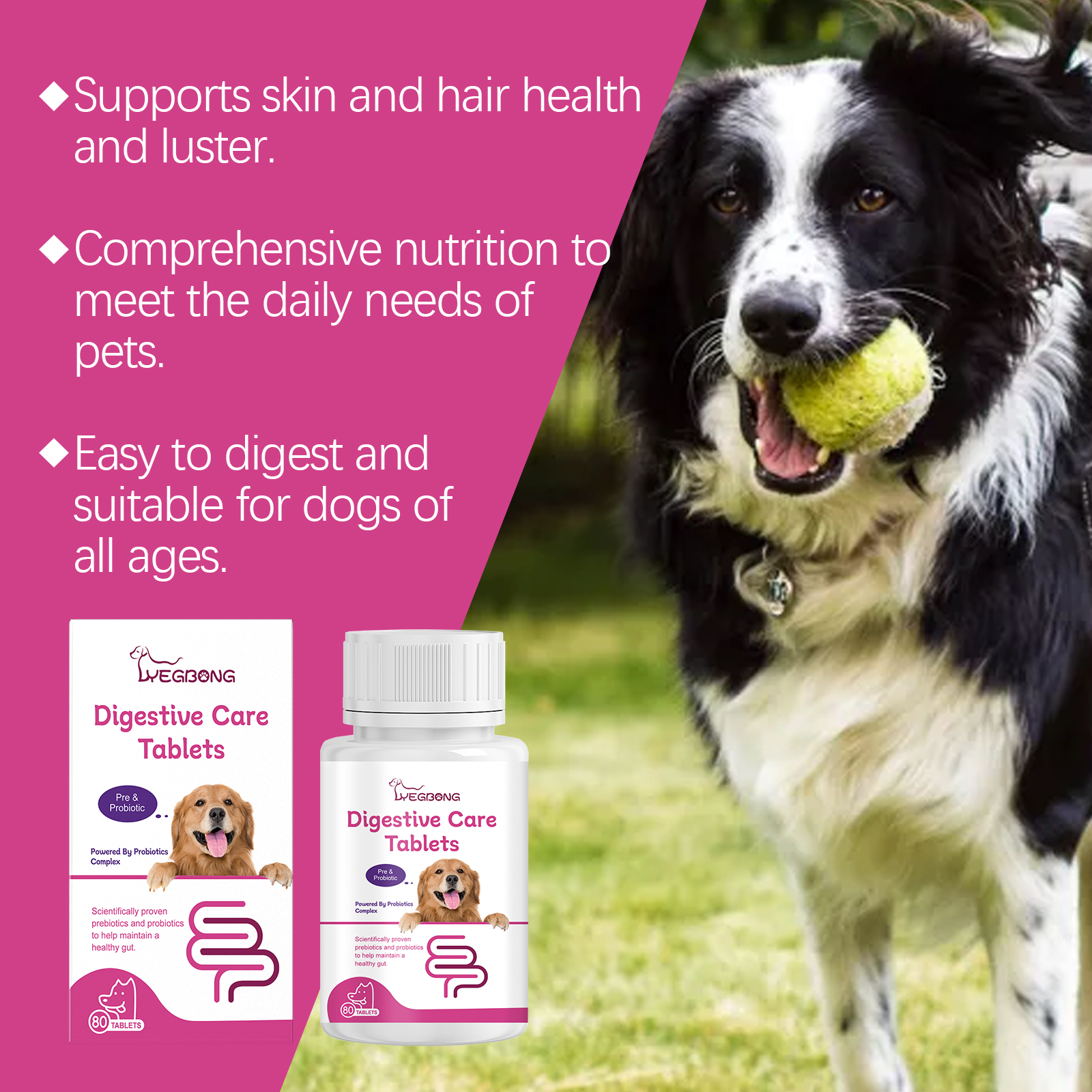 Dog Pre & Probiotic Digestive Care Tablets, Gut Health Supplement For Dogs, Supports Digestion, Immunity, Skin & Vision Health, 80 Chewable Tablets — image 5