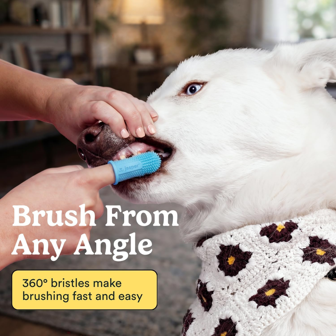 Kit de cepillo dental para perros y gatos, 360°, cepillo con mango de dedo para limpieza dental en mascotas pequeñas y grandes — imagen 5