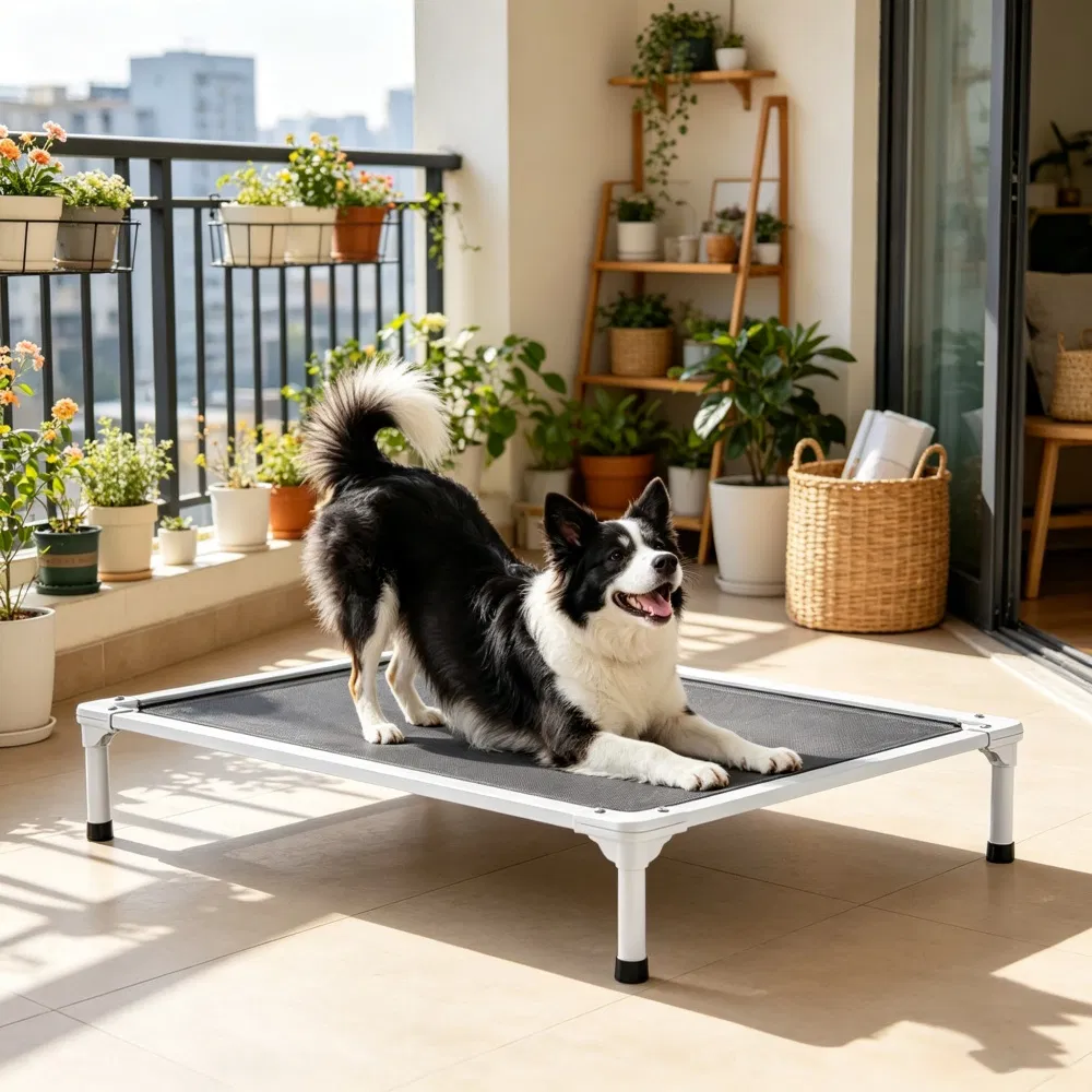 Elevated Dog Bed for Bedroom — image 3