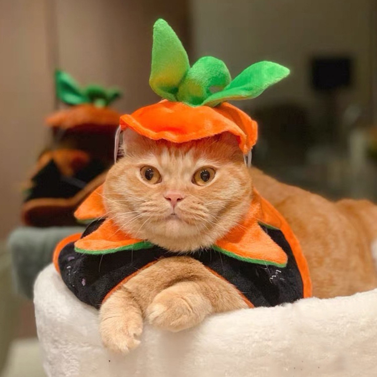 Traje de Capa de Halloween para Mascotas, Vestido con Brocado en Ambos Lados, Transformación de Gato y Perro — imagen 1