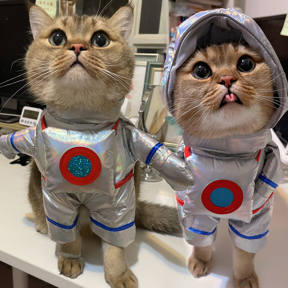 Pet Transformation Costume Astronaut Standing Costume Halloween Funny Pet Courier Shape Cat Transformation Costume — image 1