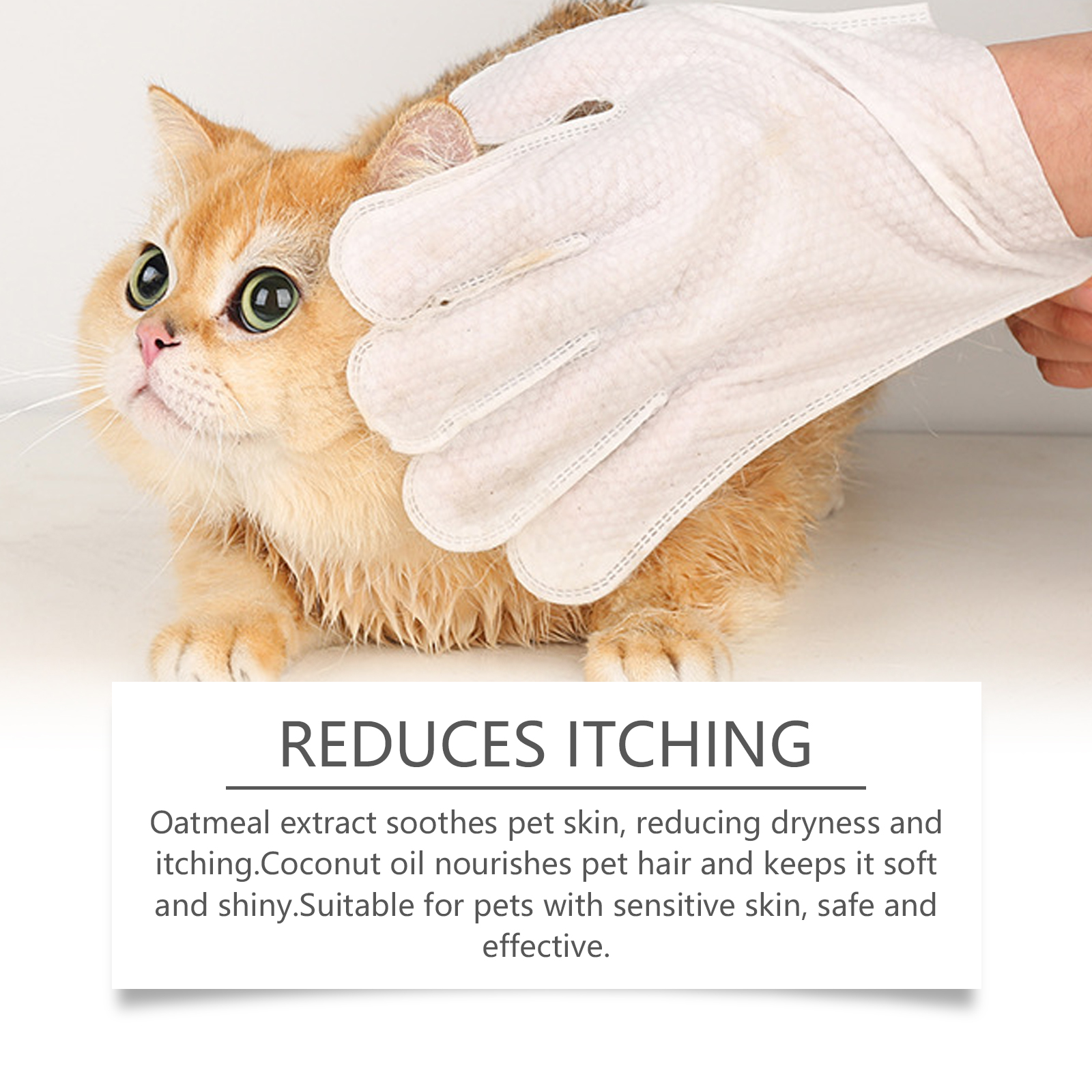 Pet Disposable Cleaning Gloves Dog Cat Hair And Skin Gentle Cleaning Care Gloves — image 5