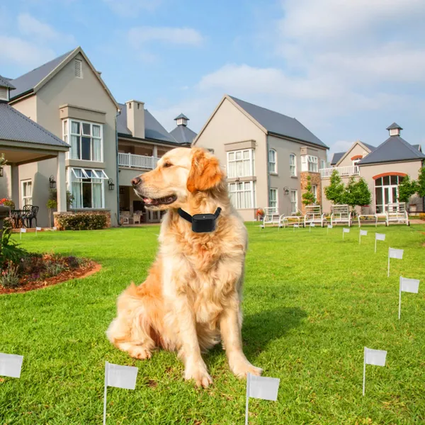Sistema de Contención para Perros con Collar de Choque Eléctrico Pet Tone, Resistente al Agua, para Perros Pequeños, Medianos y Grandes — imagen 9