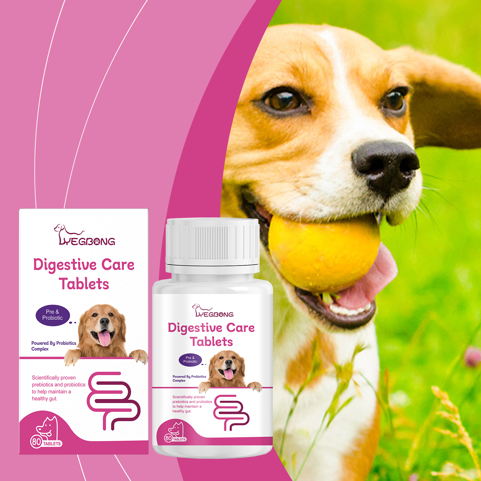 Dog Probiotic Tablets To Improve Intestinal Health, Balance Digestion And Absorption Of Pet Nutritional Supplements — image 4