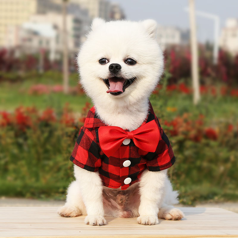 Spring Summer Autumn Dog Shirts Suits Wedding Dresses Teddy Bears Pets Cats Clothes Supplies — image 5