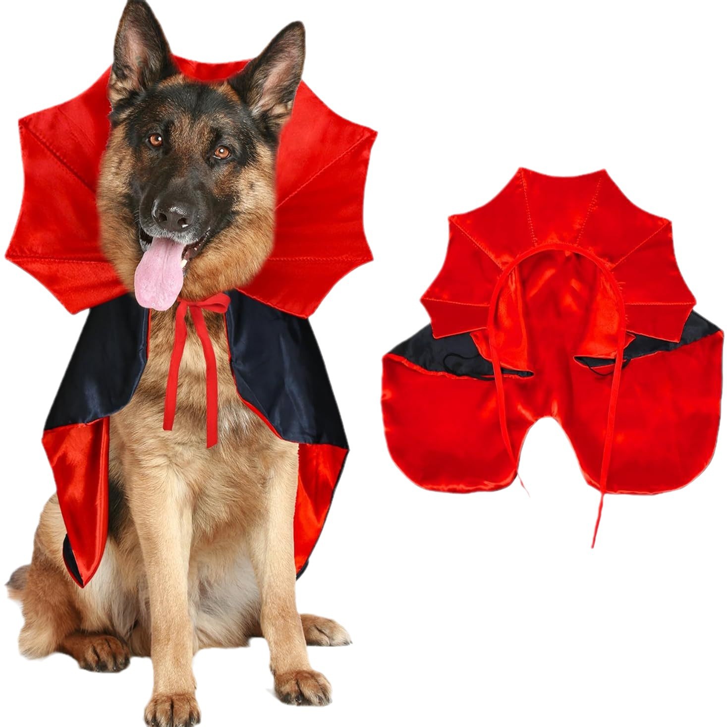 Disfraz de murciélago divertido para gatos, perros y mascotas para Halloween — imagen 5