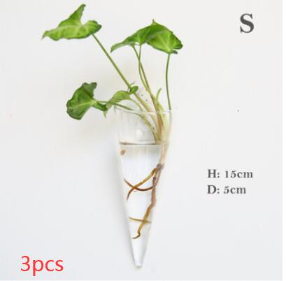 Vaso de Vidrio para Terrario Decorativo en Línea - Jardín Acuático para Hogar — imagen 27