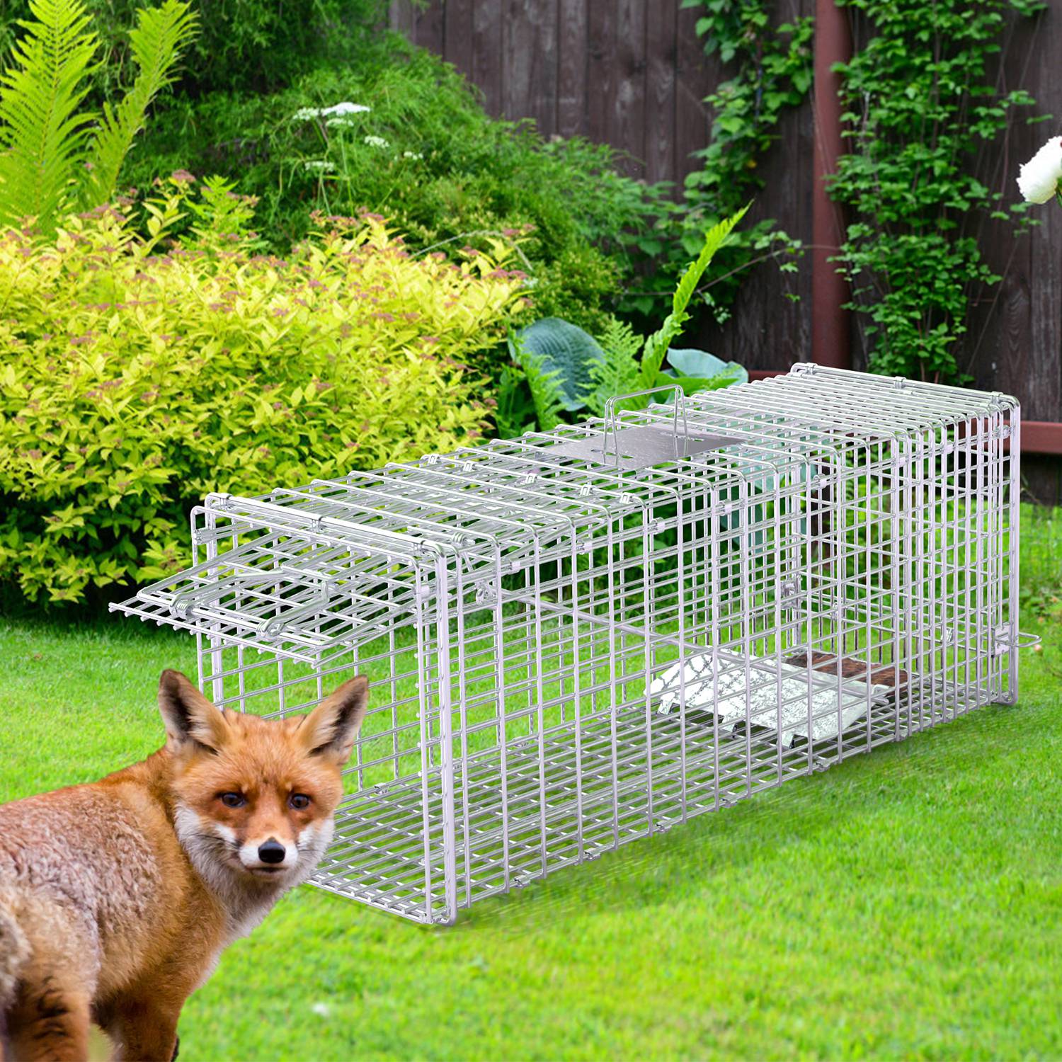 Caja de Trampa para Animales Vivos 37x14x15 pulgadas Plegable Captura y Liberación Humana para Zorros, Ratas, Perros Sueltos, Armadillos, Ardillas y Mapaches — imagen 4