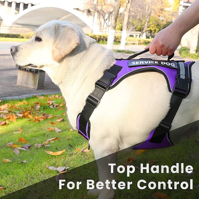 New Pet Traction Dog Explosion-Proof Punch Chest Strap Undershirt Type Reflective Pet Chest Strap — image 3