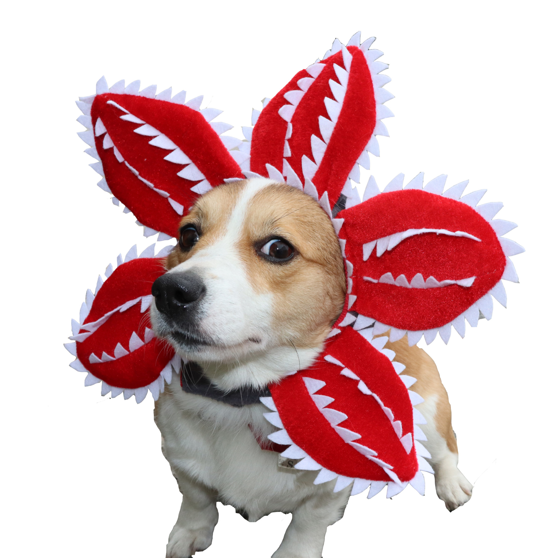 Pet Cat Dog Carnivorous Plant Headpiece Halloween Cosplay Costume Hat — image 1