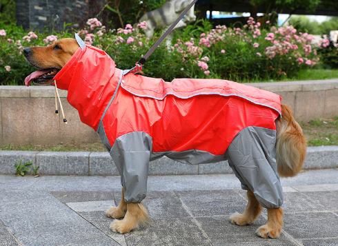 Raincoat Big Dog Golden Retriever Dog Satsuma Border Collie Medium And Large Dogs Full Package Four Feet Pet Waterproof Big Dog Clothes — image 6