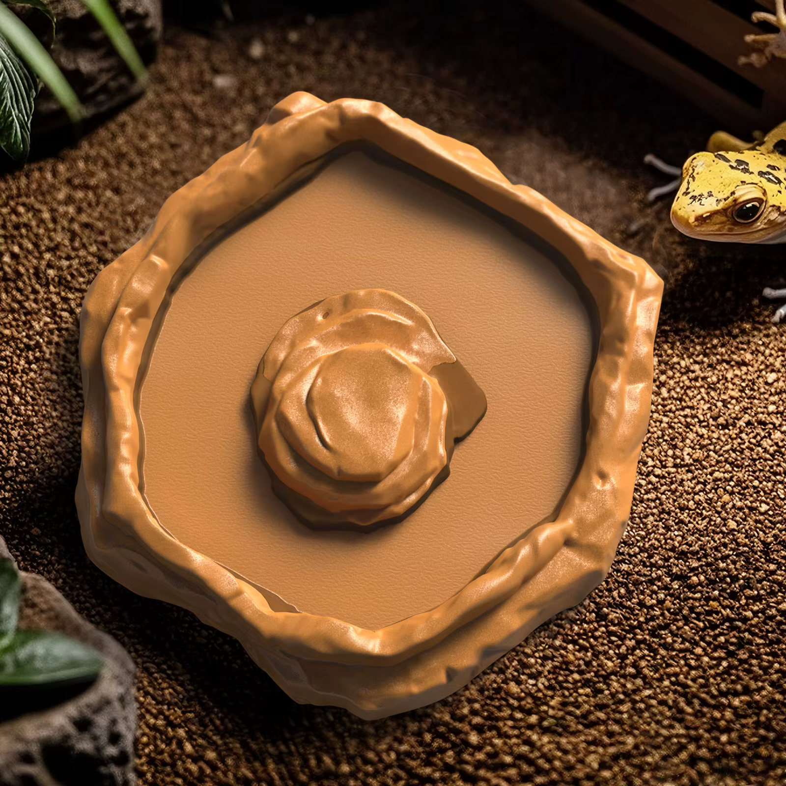 Basín de alimentación tropical para reptiles, baño para ranas, ideal para lagartos, gecos, serpientes, tortugas, anfibios — imagen 4