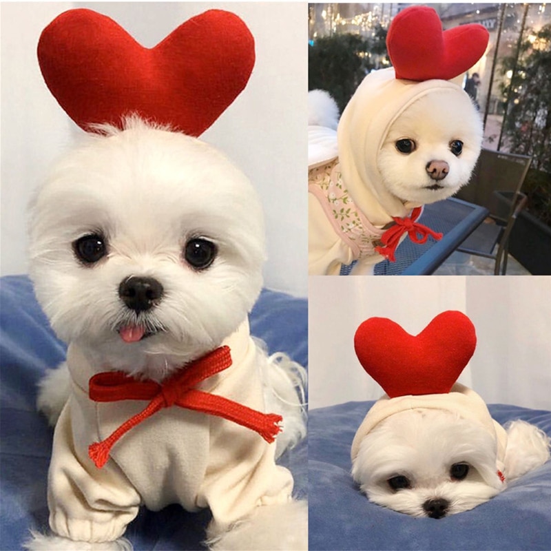Ropa de Invierno para Perros Cómica con Frutas - Chaquetas de Felpa con Capucha para Bulldog Francés y Chihuahua — imagen 5