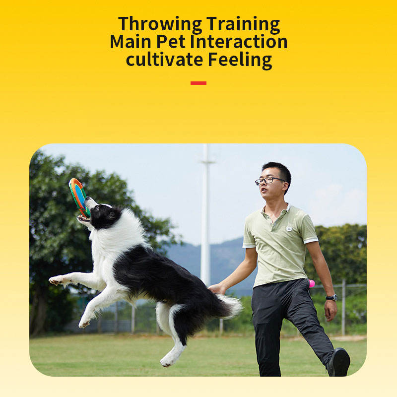 Hemp dart training tug of war interactive and durable dog toy — image 6