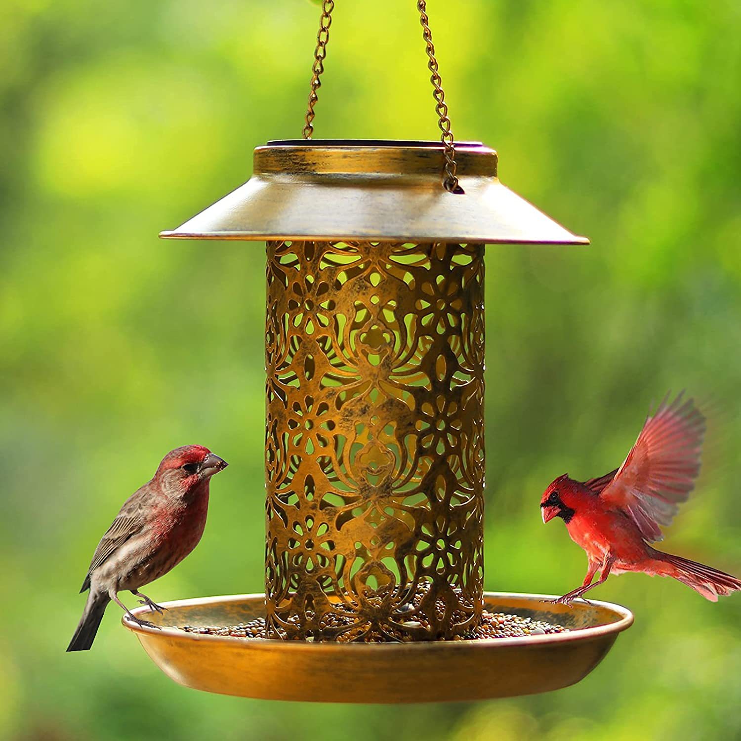 Outdoor solar powered lamp metal hanging bird feeder feeding and watering dual-purpose bird feeder decorative lamp — image 3