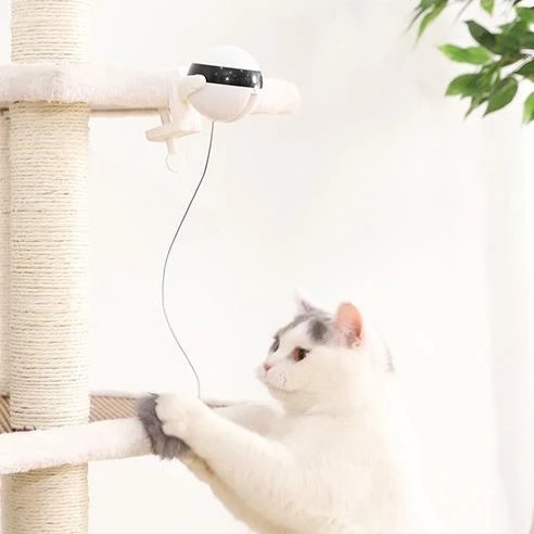 Juguetes Electrónicos Interactivos para Gatos: Movimiento Automático — imagen 8