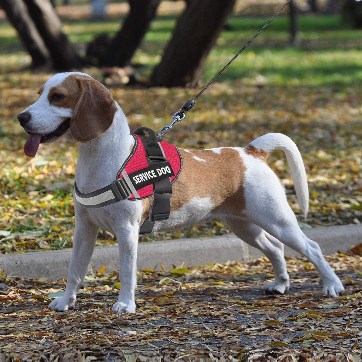 Pet Dog New Reflective Comfortable Pet Chest Strap Traction Rope Leash Undershirt Pet Chest Strap — image 1