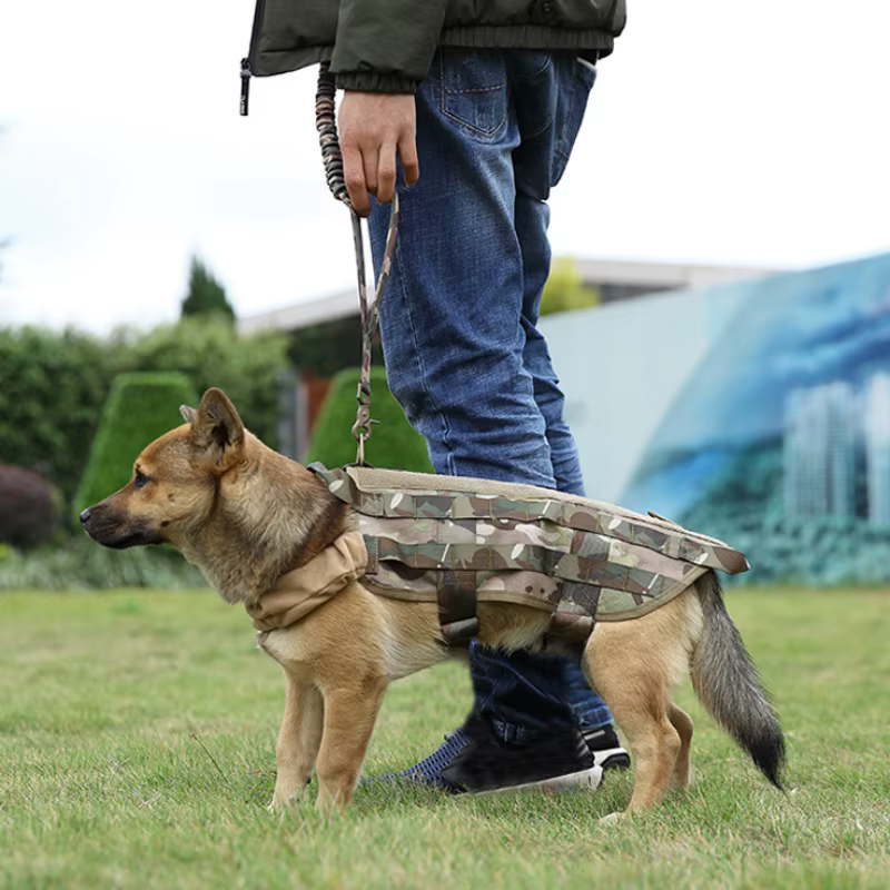 Tactical Dog Rope Training Dog Leash Traction Rope Dog Universal Leash Hunting Outdoor tactical dog leash — image 2