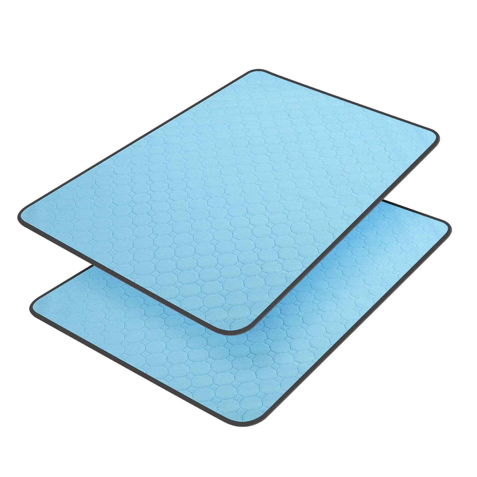Manta de Orina para Perros Limpiable, Manta de Entrenamiento Higiénica para Cachorros y Gatos, 89.5 x 59.2 cm - 34.5 in x 23 in, 2 Paquetes