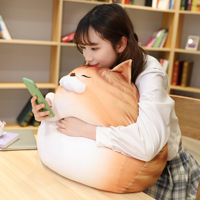 Nueva Gata de Peluche con Huevo y Diseño Colorido para Hogar, Cojín de Plush Cálido — imagen 2