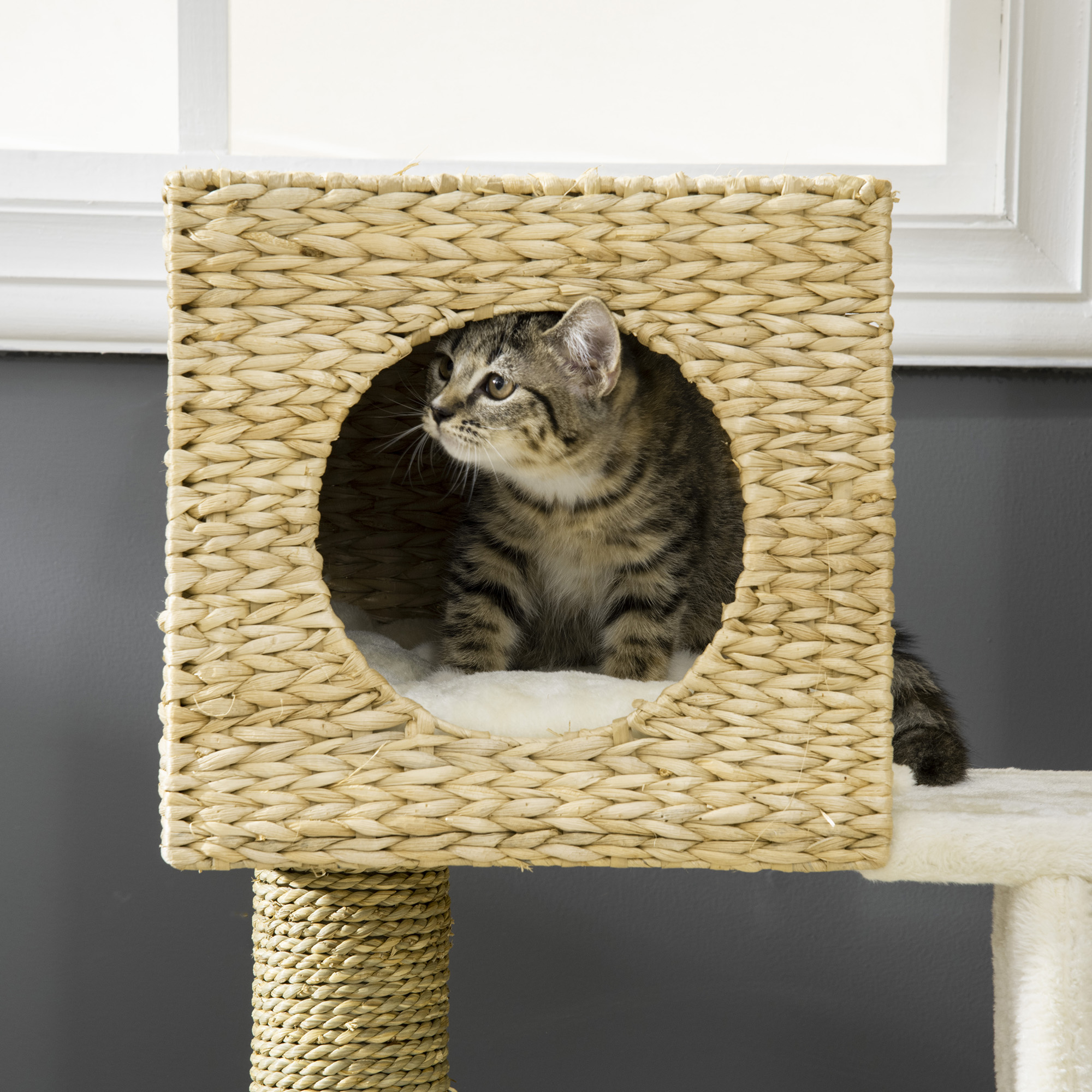 Arbol de Paja para Gatos con Cama de Rattán, Colgador y Fundas Limpiables, 22.5" x 14.5" x 39.5", Natural — imagen 5
