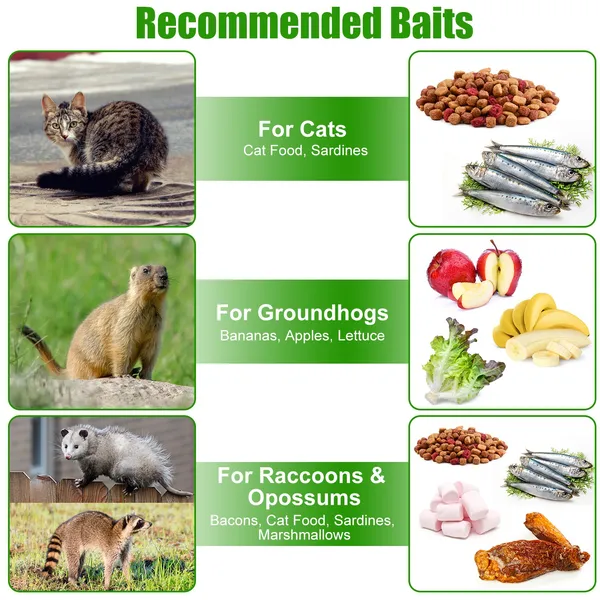Humane Cat Trap Cage With Gloves Catch Release Live Animal Rodent Cage Collapsible Galvanized Wire For Raccoons Beavers Groundhogs Foxes Armadillos — imagen 6