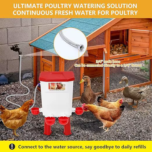 Chicken Feeder & Waterer Set Poultry Feeder & Waterer Set — image 1