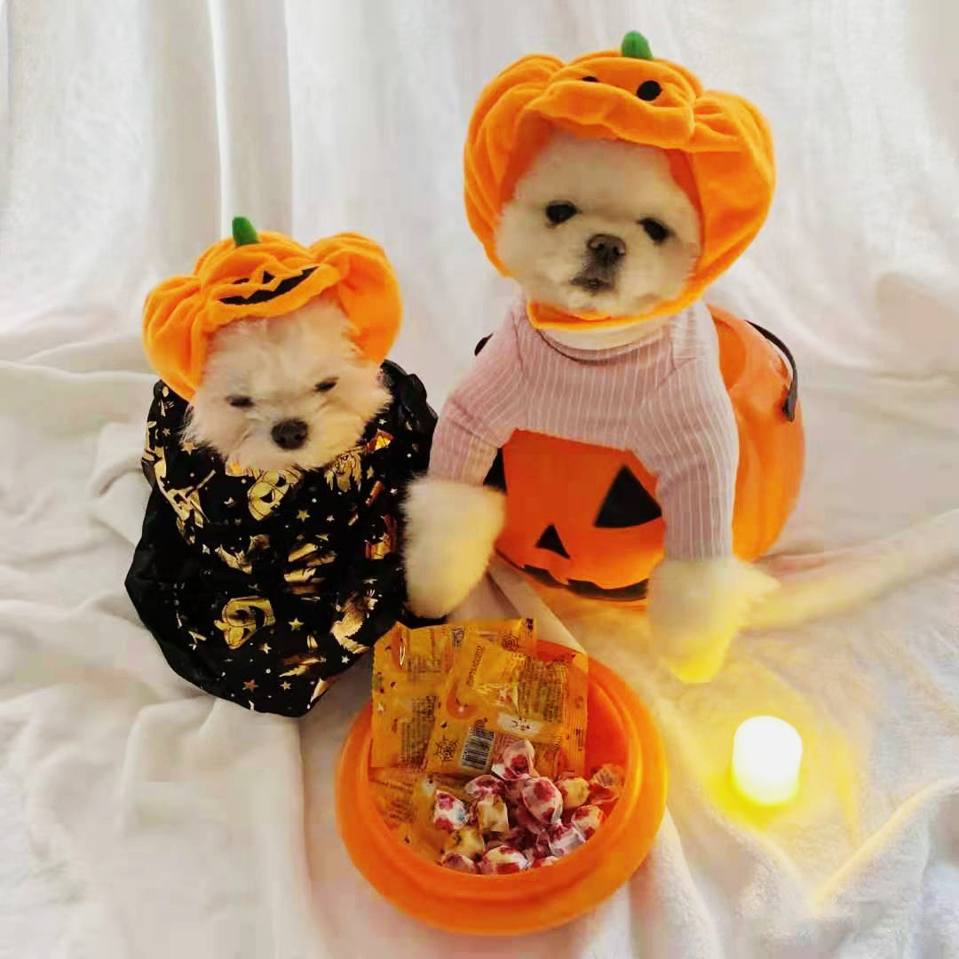 Pet Cat Dog Pumpkin Cat Hat Halloween Ghost Festival Decoration Headwear Supplies — image 3