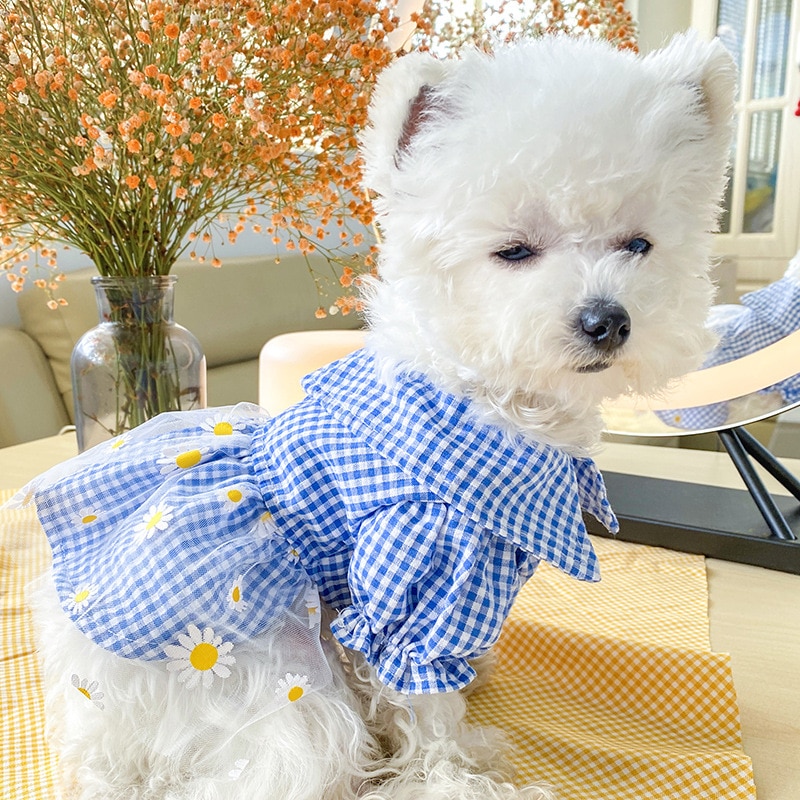 Vestido de verano para perros, falda princesa, teddy, rejilla, vestido Pettiskirt, ropa para mascotas, disfraz de cachorro, ropa de primavera para mascotas — imagen 6