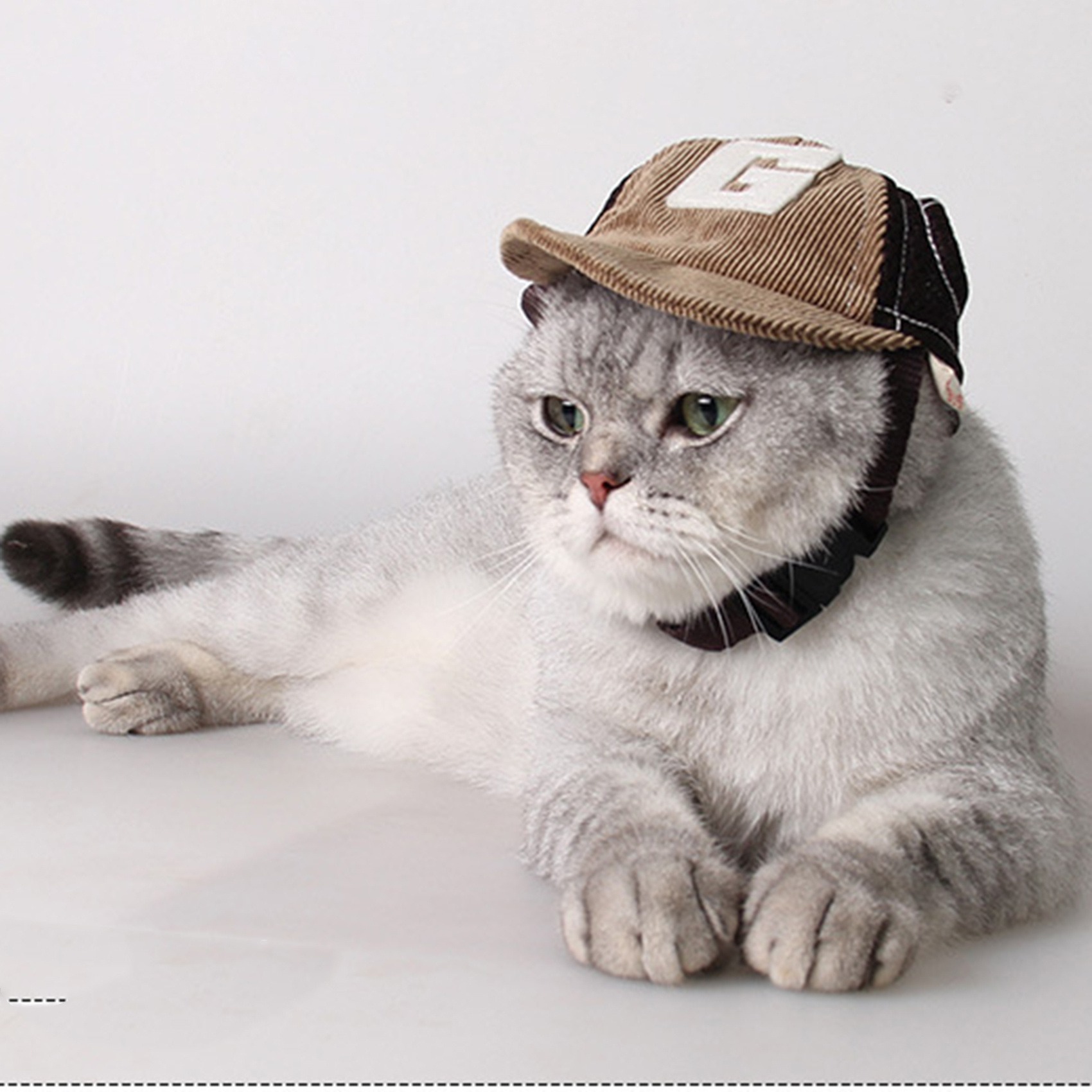 Sombrero de Sol con Diseño de Perro G, Sombrero para Viajes de Primavera y Otoño, Protección Solar Exterior con Ventilación en Malla, Gorra de Béisbol Temática Mascotas — imagen 3