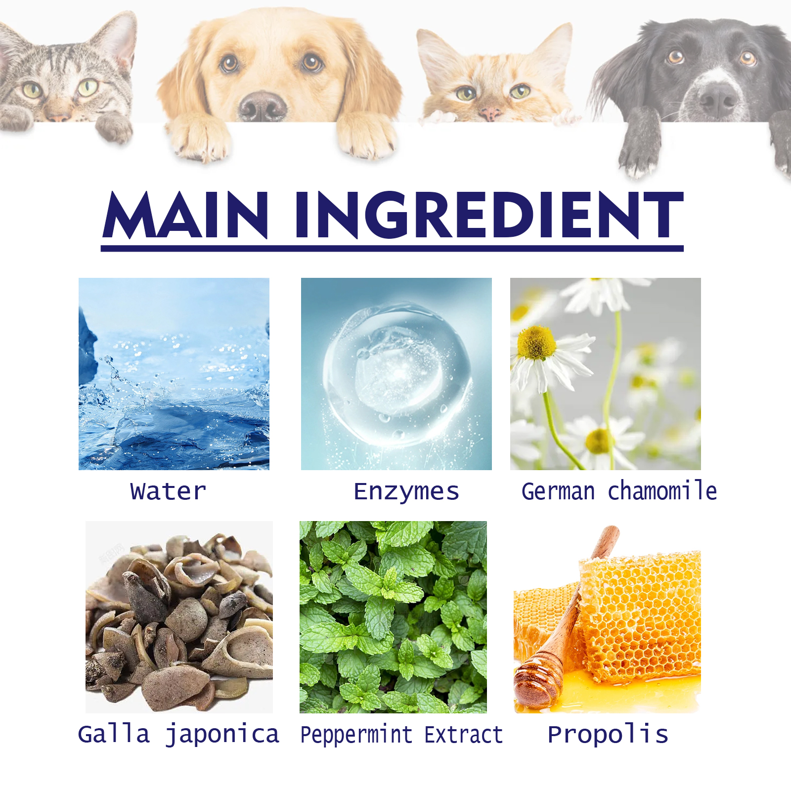Cremas para Higiene Oral de Mascotas Yegbong: Elimina Mal Aliento y Placas en Perros y Gatos — imagen 7
