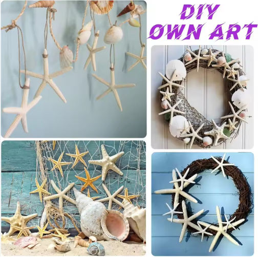 15 piezas de árboles navideños colgantes de estrellas de mar de 2.3-4.3 pulgadas decoraciones con conchas para manualidades — imagen 2