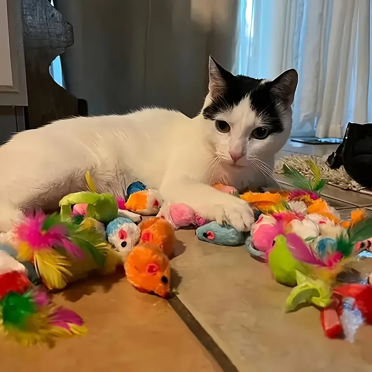 56pcs/28pcs/14pcs Pet Kitten Toys Variety Cat Toy Combination Set Cat Toy Funny Cat Stick Sisal Mouse Bell Ball Cat Supplies — image 3