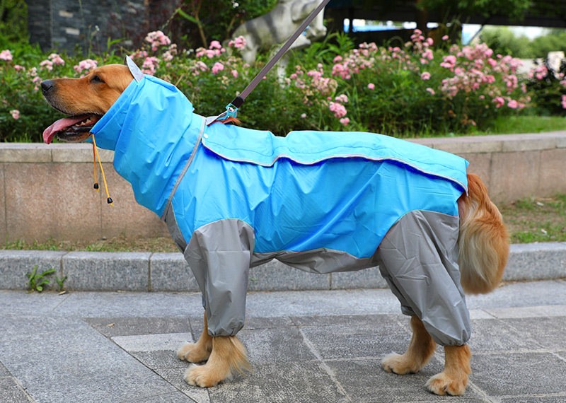 Chaquetón de agua para perros, procesamiento de ropa para mascotas, chaqueta grande para cuatro patas con pelaje dorado — imagen 6