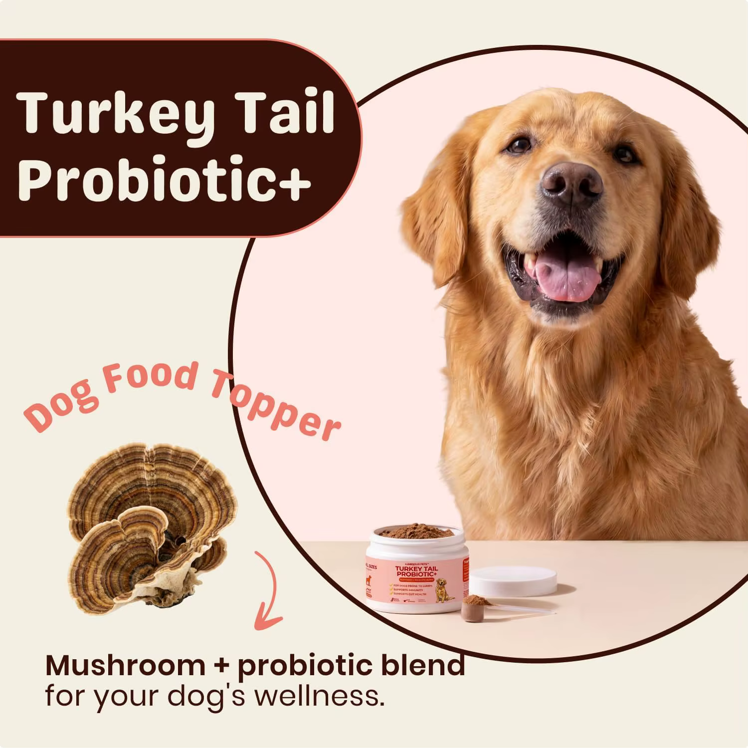 Turkey tail mushroom dog food sprinkle, bacon flavored pet food supplement, easy to sprinkle into daily feeding, 30 servings — image 2