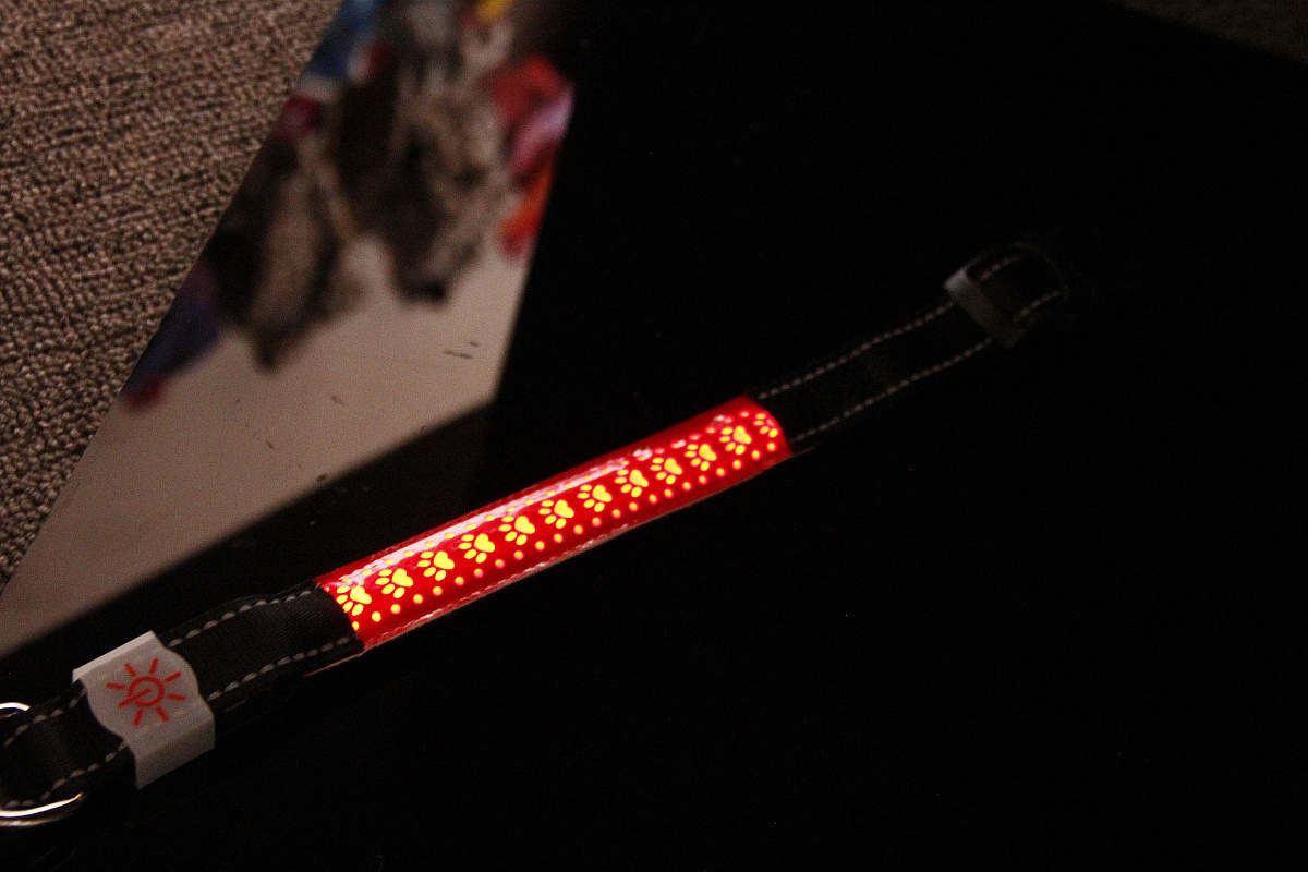 Collar de Luz LED Rechargeable con Cuero Tallado para Mascotas — imagen 2