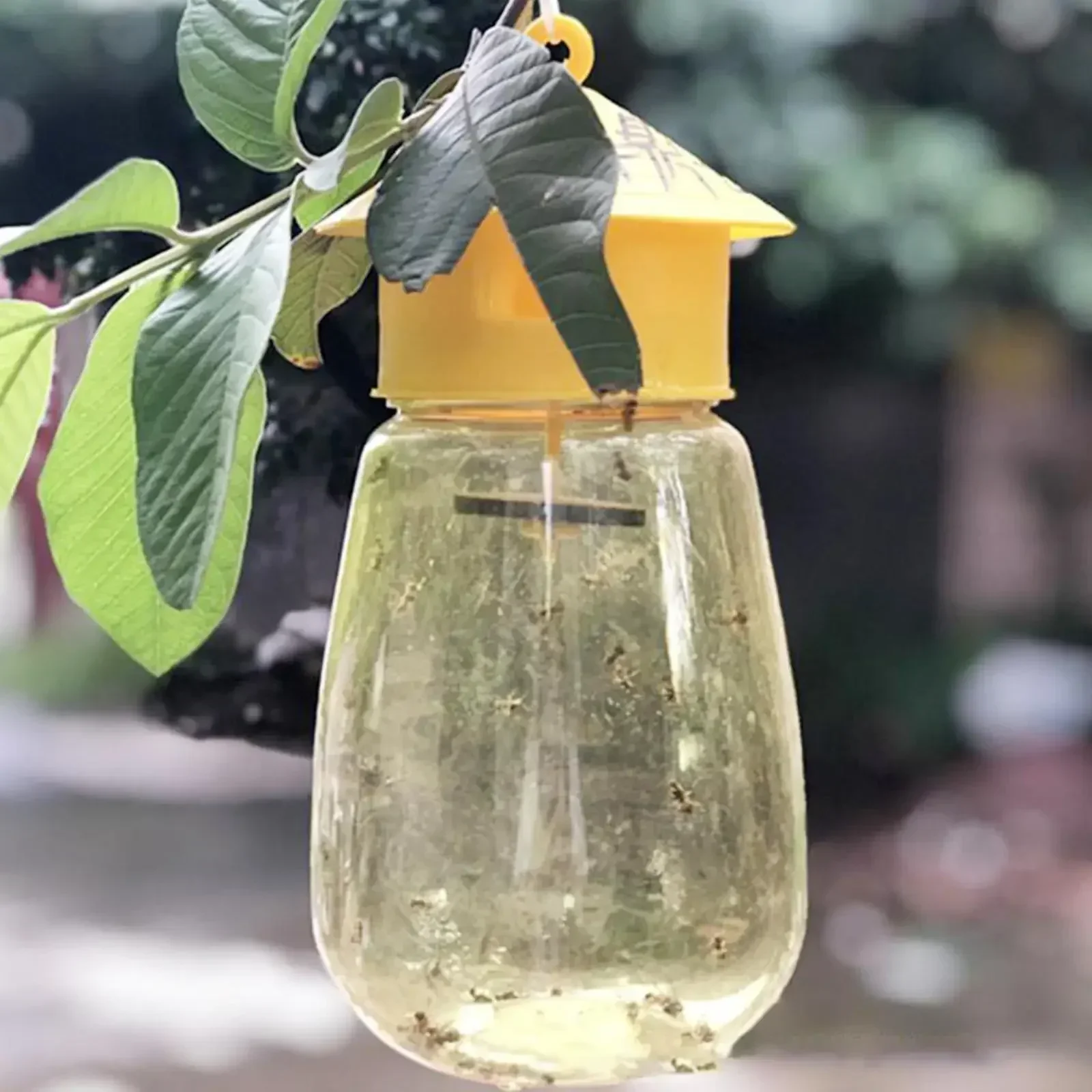 Presa de Moscas de Frutas Plástico Cazador Trampa para Drosófilas Control de Plagas — imagen 2