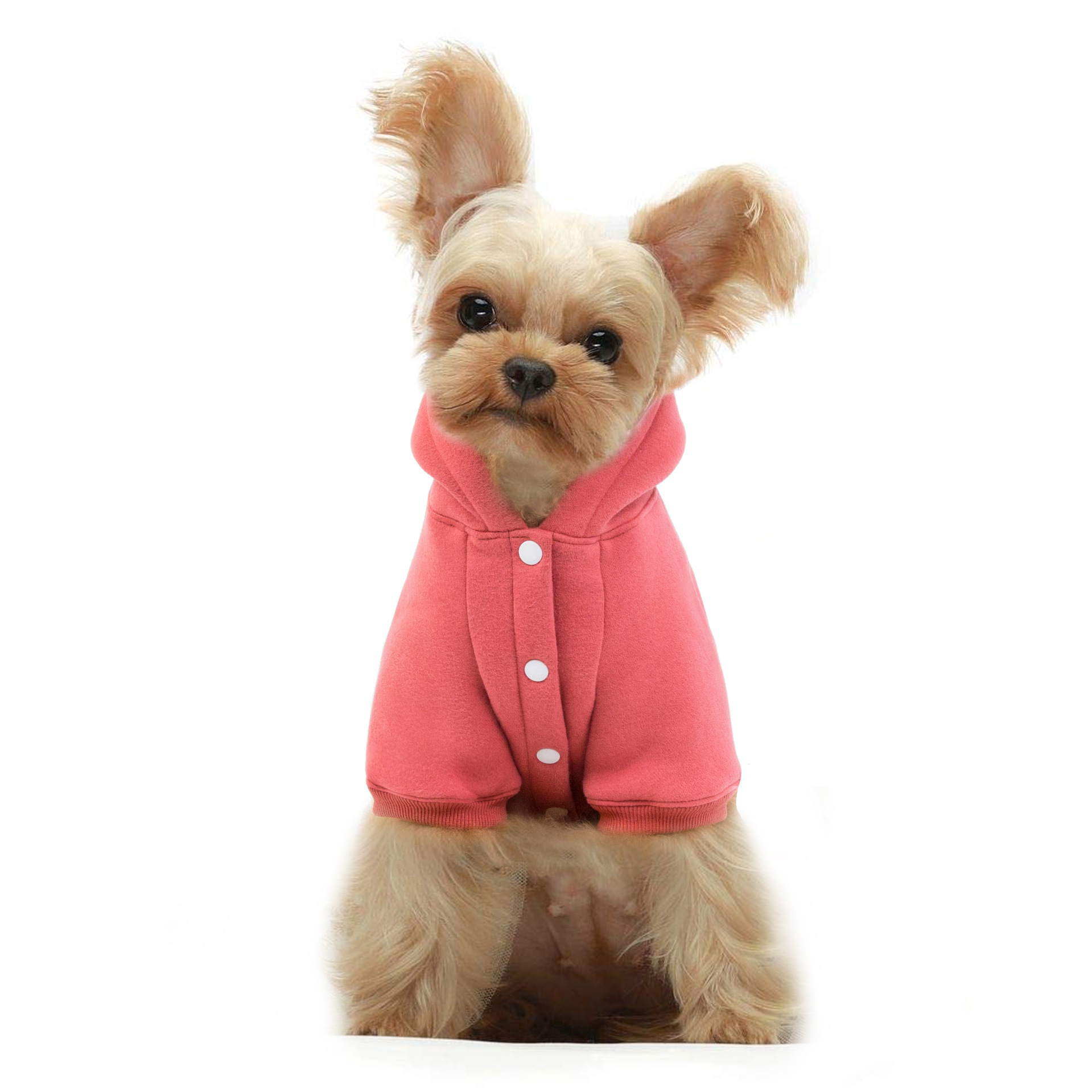 Autumn And Winter New Pet Clothing Dog Supplies Warm Fleece Hooded Teddy VIP Sweater Dog Clothes — image 3