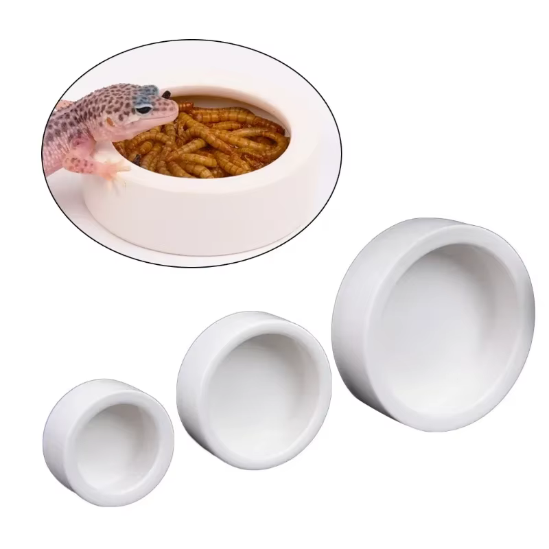 Comida para Reptiles Plato Cerámico Anti-Evasión para Cangrejos de Tierra, Geckos Leopardo, Camaleones, Serpientes de Corn y más Y5GB — imagen 4